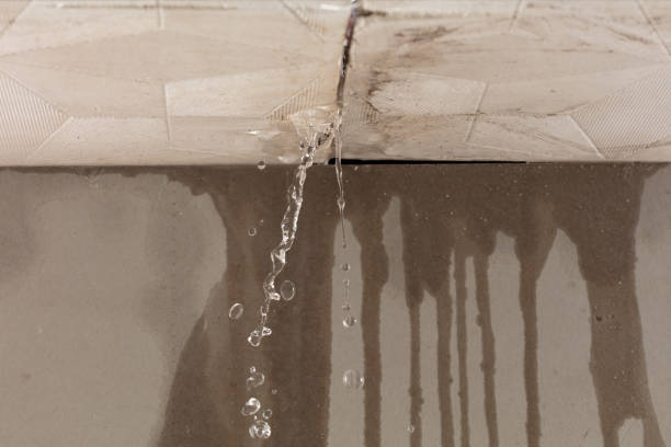 Professional Structural Drying technician working in Glenbeulah, WI